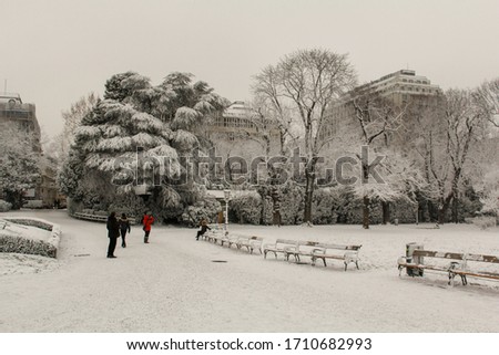 A city Park with snow covered trees and benches surrounded by low buildings and people taking photos Royalty-Free Stock Photo #1710682993