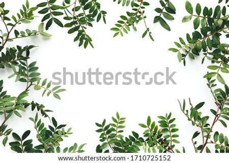 Frame made of green leaves on white background. View from above. Copy space. Flat lay. Design element.
