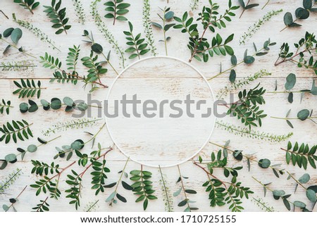Frame made of green leaves (pistachio, eucalyptus) on white wooden planks. View from above. Copy space. Flat lay. Design element.