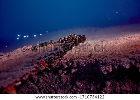 Drowned ship wreck 15 meters depth jounieh gulf Lebanon