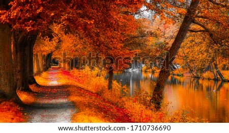 Autumn colors in a park, Wilhelmshaven, Germany, Europe