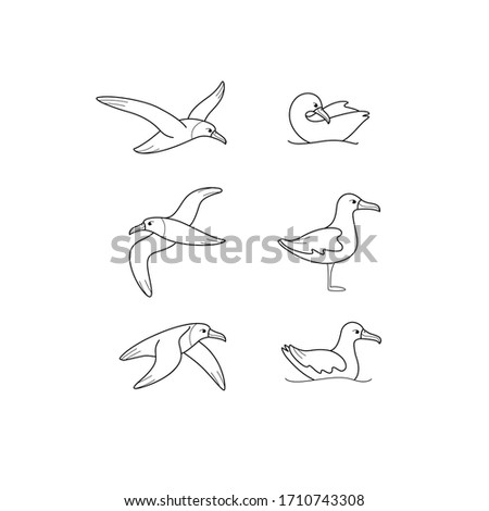 Cartoon bird icon set. Different poses of albatross. Vector illustration for prints, clothing, packaging, stickers.