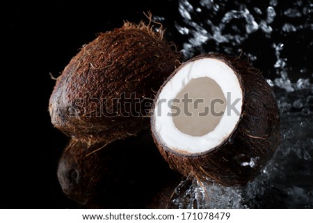 Coconuts on a black background with a splash of water