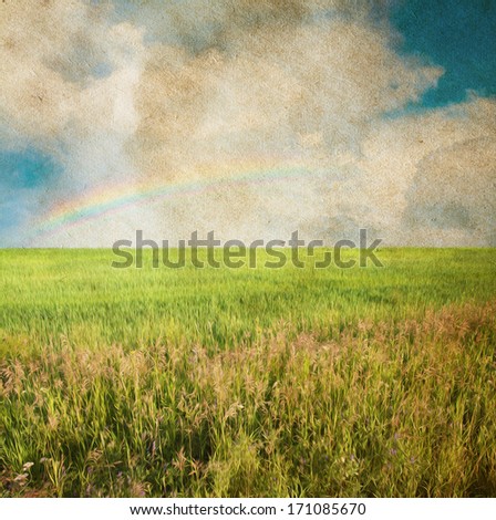 beautiful sky and summer fields 