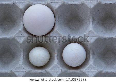 Small and large duck eggs lay together in a paper egg crate.