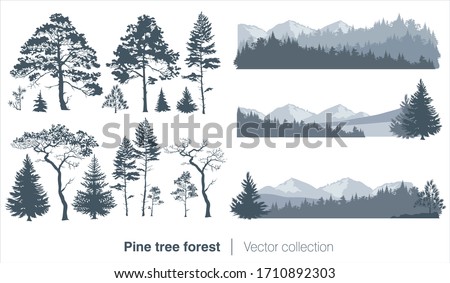 Vector collection with fir trees and coniferous forest isolated on white background