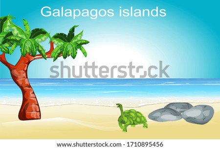Galapagos islands nature scene, turtle on the ocean's coast, vector 