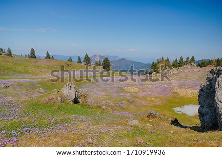 Velika planina in Slovenia in April