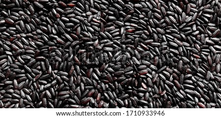 Black Venus Integral Rice Grains closeup background texture, macro photography from above