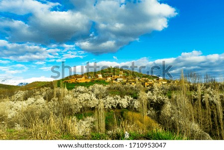 beautiful landscape of a village on top of the hill with white blossom trees at downstream and cloudy blue sky in background