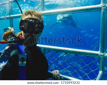 A girl taking a selfie with a great white shark in a shark cage diving in Australia, South Australia. 
