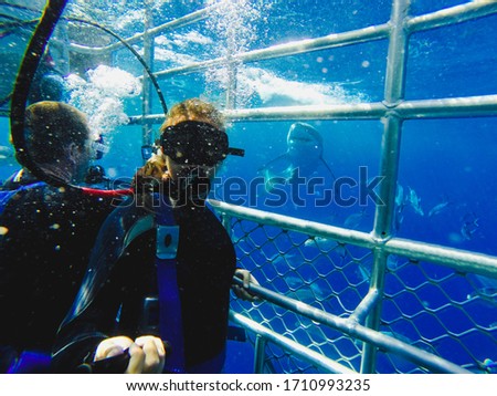 A girl taking a selfie with a great white shark in a shark cage diving in Australia, South Australia. 