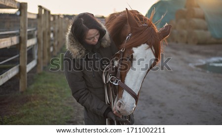 Brown horse licking woman's palm. 
