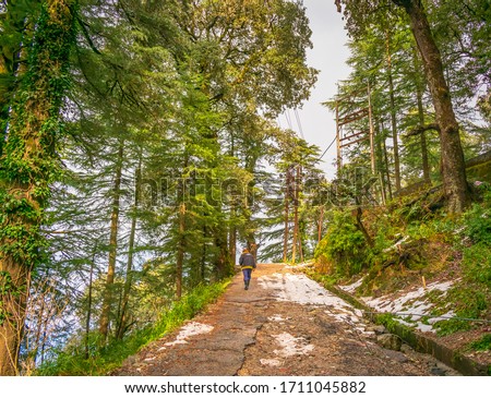 View of hike trail at Dalhousie, Himachal Pradesh, India Royalty-Free Stock Photo #1711045882