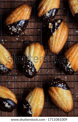 Madeleine sponge cookies in chocolate icing and coconut crumbs