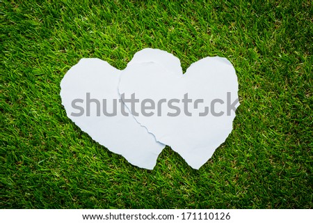 Two heart paper on green grass background