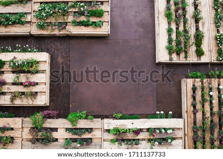 
wall with flowers in wooden boxes