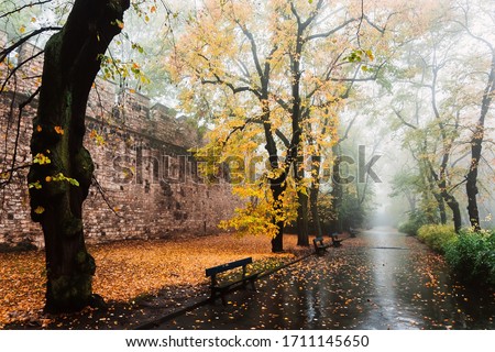 Foggy and cloudy alley in the forest park. Autumn season . Romantic walky mood. Postcard concept. Perspective picture of yellow and orange leafes on the trees.