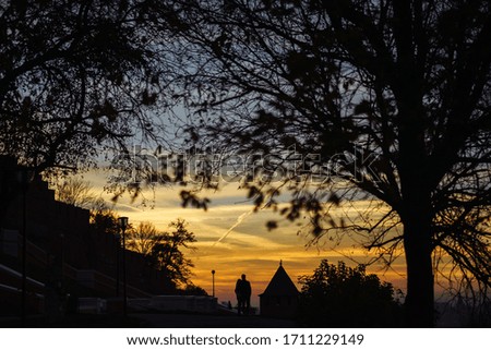 silhouettes of bushes and trees on the horizon against an orange sunset