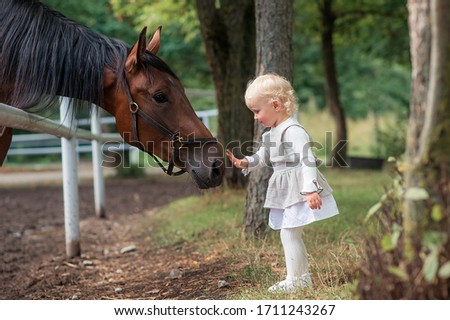 In the summer, at the racetrack, a Little girl talks to a big brown horse that listens to her attentively