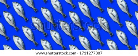 Fish pattern on blue background. Top view. Creative design for packaging. Food seamless pattern. Seafood, dorado fish concept.