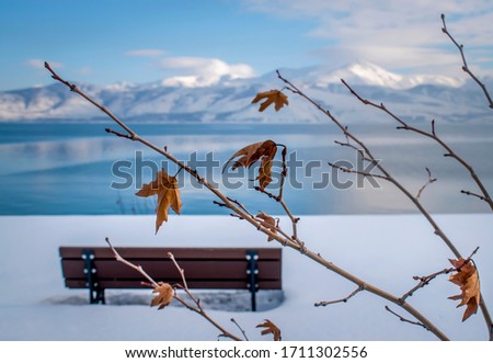 empty bench among snowy tree branches, mountains and van lake