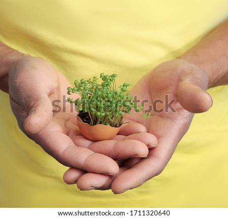 earth day with hand holding plant on light background stock photo