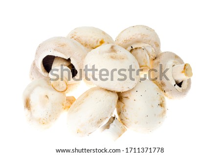 Bunch of fresh champignon mushrooms isolated on white background. Studio Photo