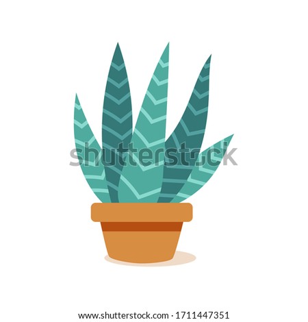 Isolated cactus icon in a potplant - Vector