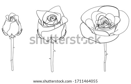 Rose silhouettes vector illustration. Roses stencils isolated on white background