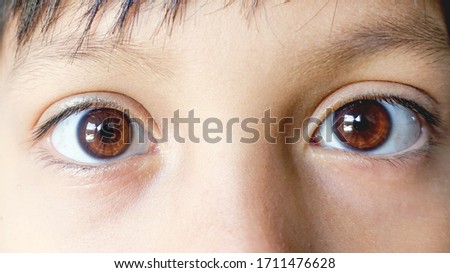 Close up beautiful brown eyes of a young boy. Wide open brown eyes looking to the camera                              Royalty-Free Stock Photo #1711476628