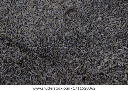 
the unique texture of rice seeds.