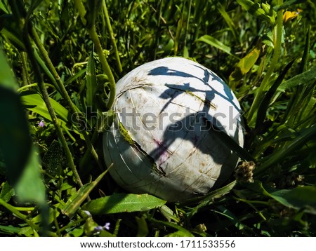 Tennis tape ball in a green grass shallow depth of field