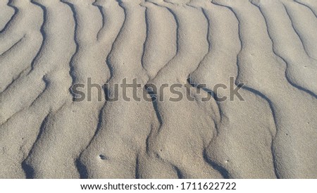 Sea wind made this waves on Sand
