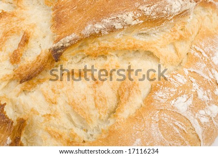 closeup of home baked bread