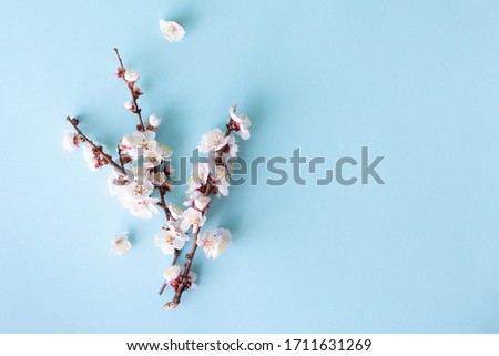Medical concept on a blue background. Medical mask and a branch of spring flowers as a symbol of hope. Place for text.