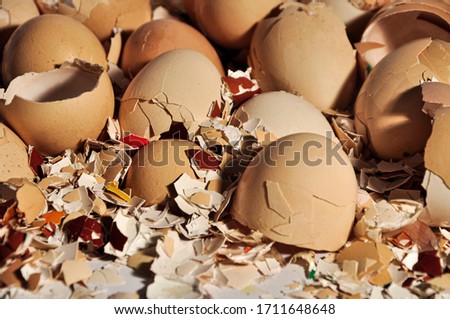 Crazy messy crushed empty and clean egg shells on a white background Royalty-Free Stock Photo #1711648648
