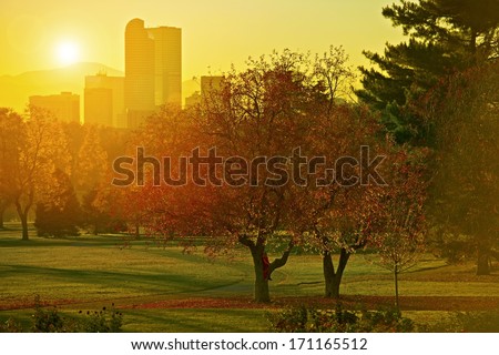 Sunset Light. Girl on a Park Tree, Denver, Colorado Skyline and Beautiful Sunset Light. Autumn Theme. Cities Collection.