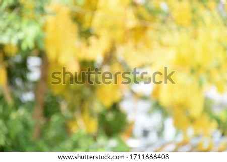 Indian Laburnum Blur is used for the background.