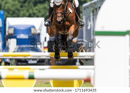 Show jumper jumps over an obstacle during a tournament
