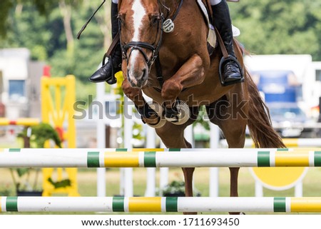 Show jumper jumps over an obstacle during a tournament