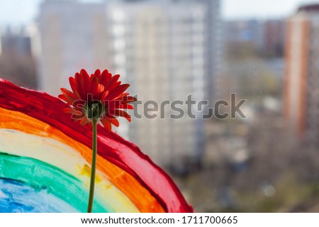 Gerbera looks out window. painting rainbow during Covid-19 quarantine at home. Stay at home Social media campaign for coronavirus prevention, let's all be well, hope during pandemic concept
