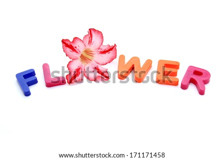 Plastic letters forming word FLOWER isolated on the white background