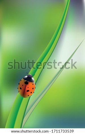 Beautiful background with green grass and ladybug. Vector green nature background, ladybirds on grass, green bokeh background.
