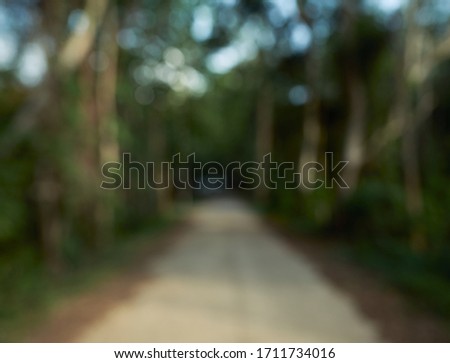 Blur of tropical forest, green forest