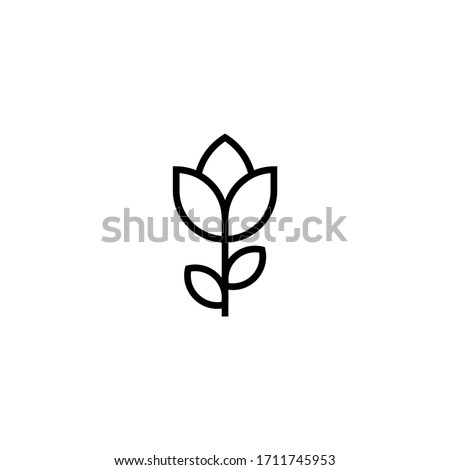 Tulip vector icon in linear, outline icon isolated on white background