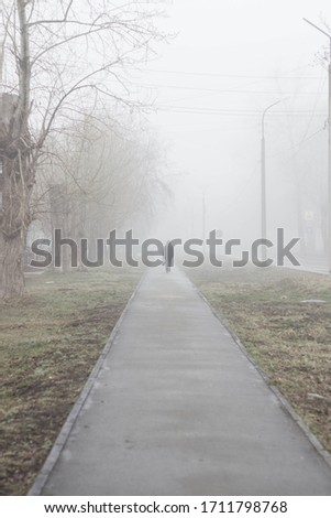morning fog on the streets of the town