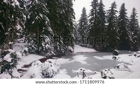 A frozen little lake in the forest 