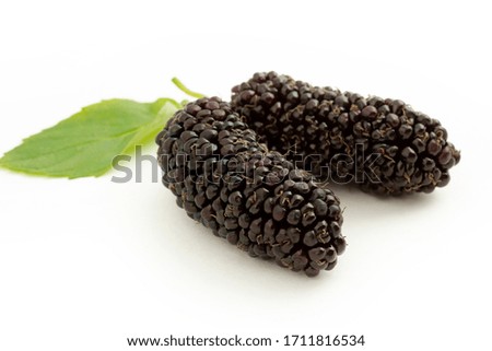 fresh and ripe mulberries background