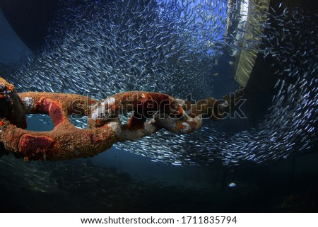 Underwater wide angle photography ( chain and lots of silver fish under the boat ) Fethiye, Turkey.
